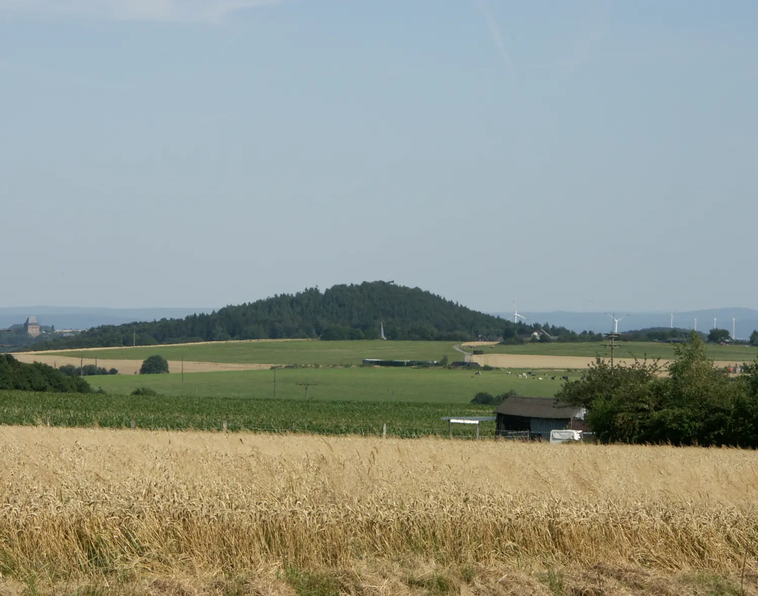 Wald von Trostorf 