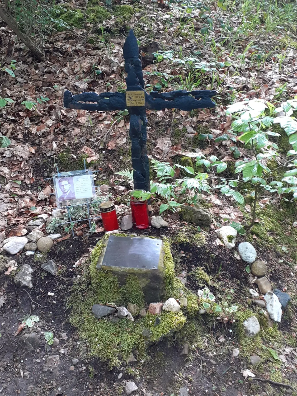 Wald von Trostorf 