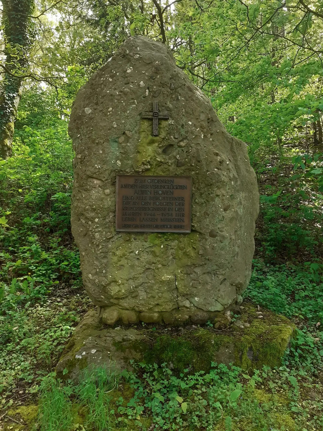 Wald von Trostorf 