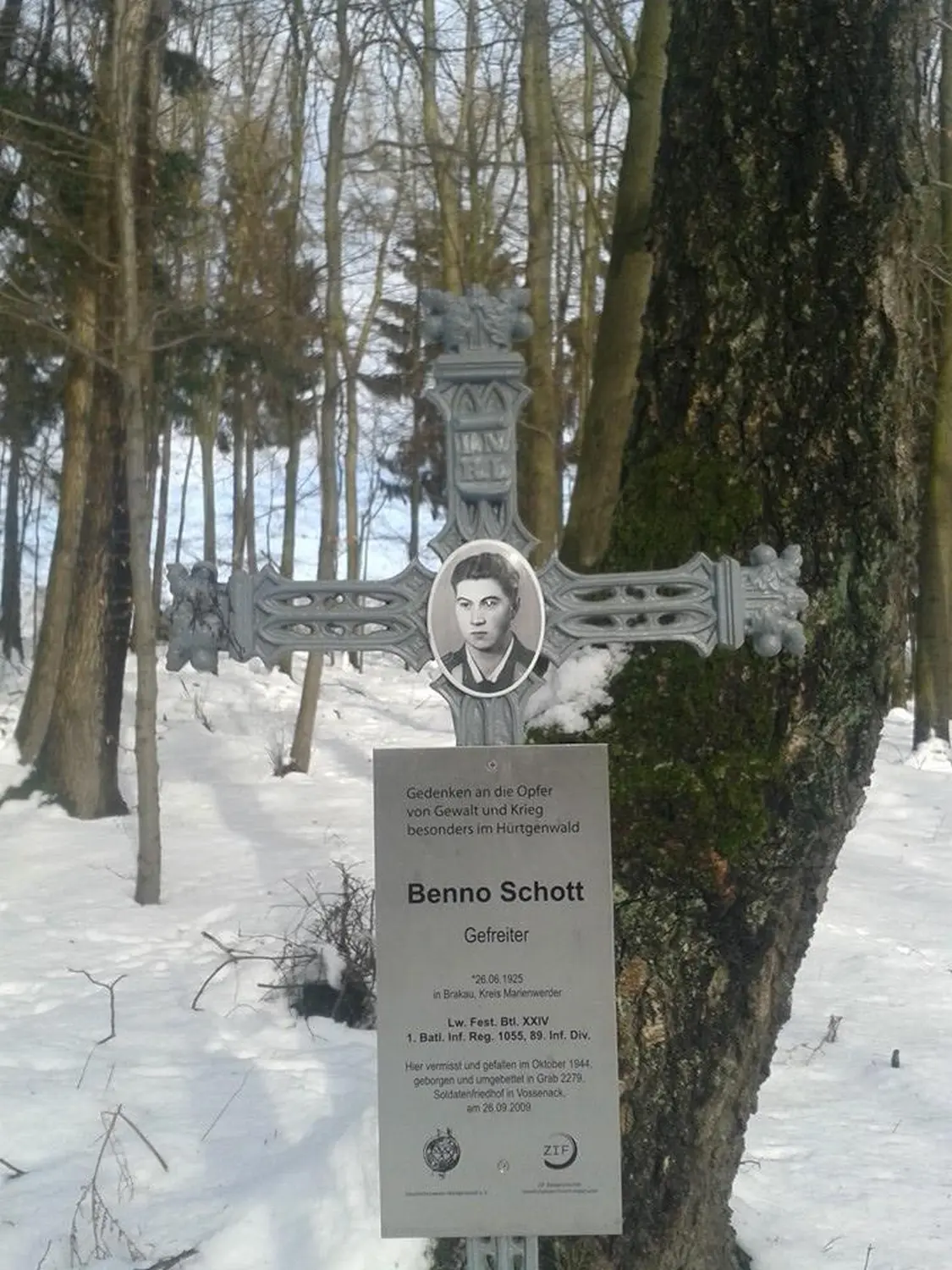 Wald von Trostorf 