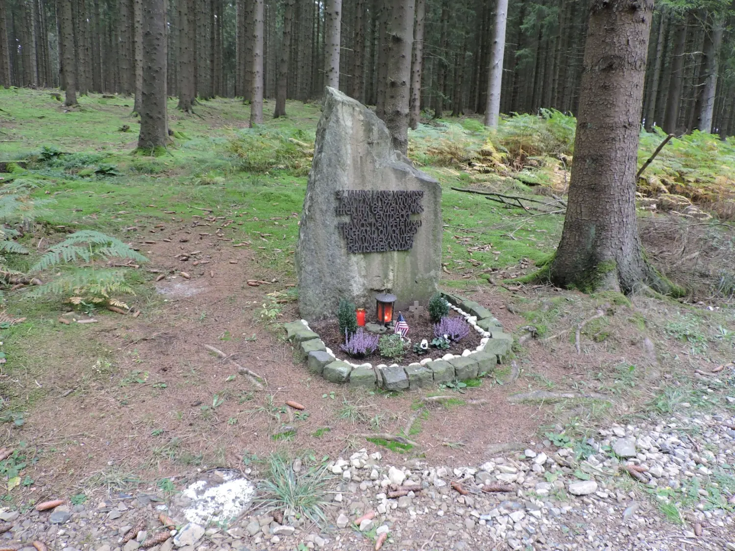 Wald von Trostorf 