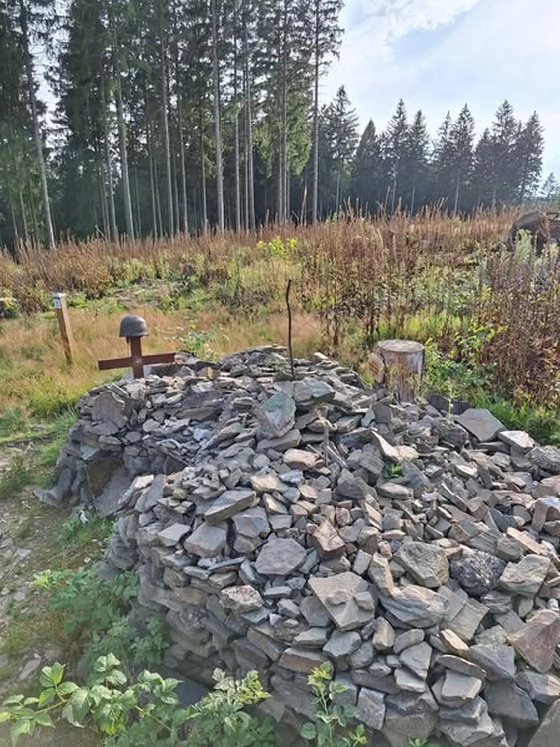 Wald von Trostorf 