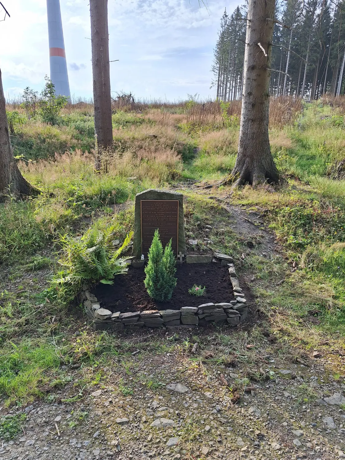 Wald von Trostorf 