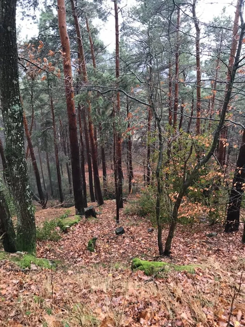 Tour 4 – Burgberg / Hill 400 / Castle Hill von Menschen von Menschen von Trostorf 